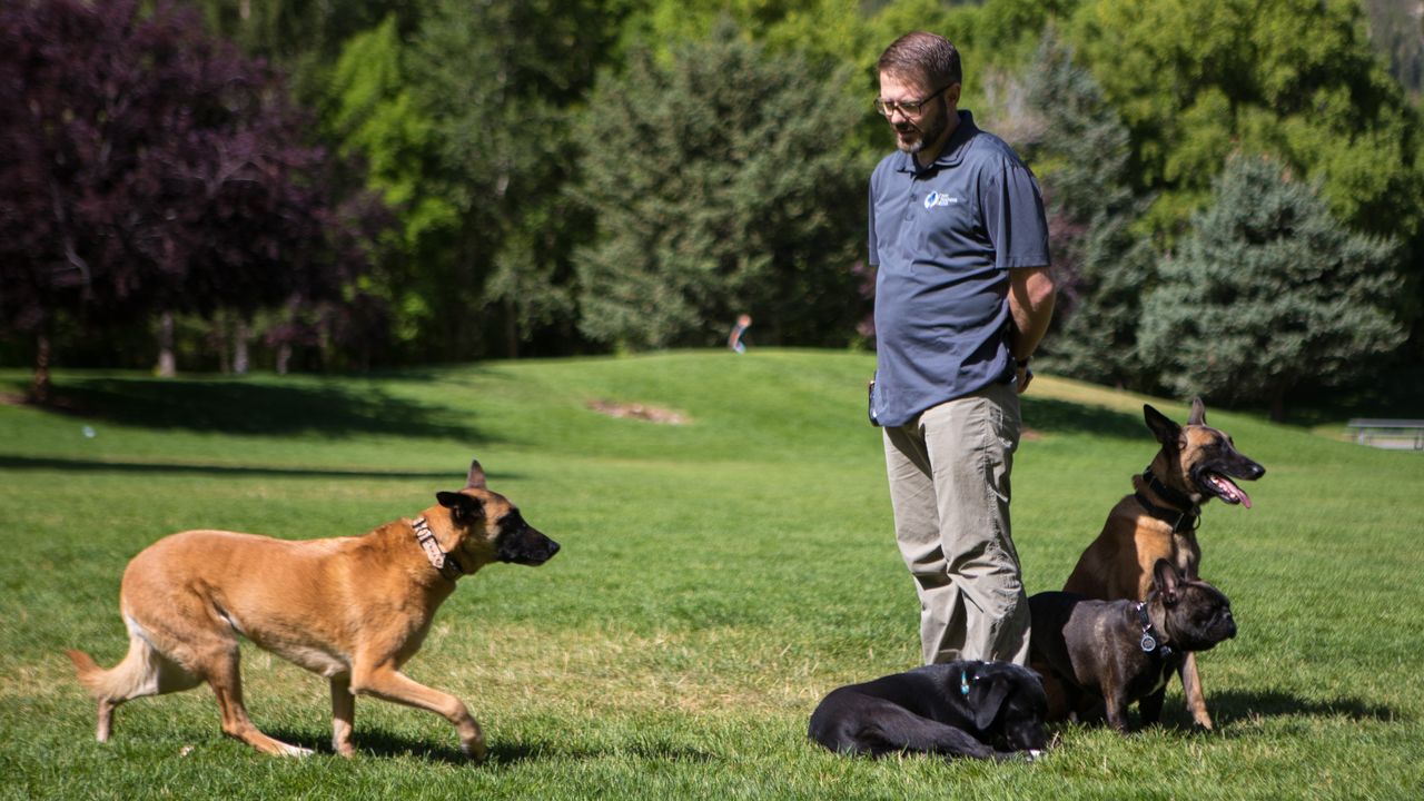 Dog Training Elite Awards 30 Territories in 2023 Plans to Double